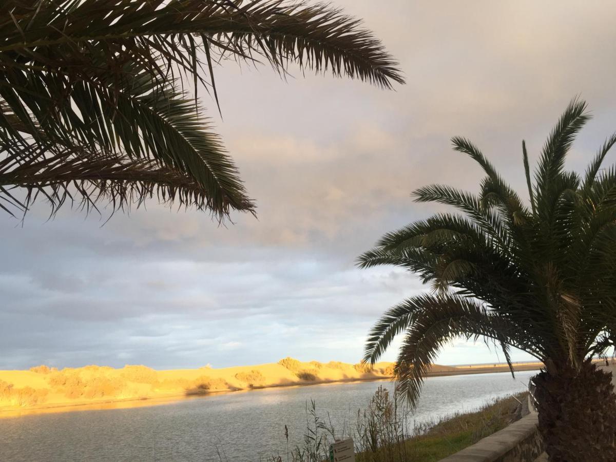 Oasis *