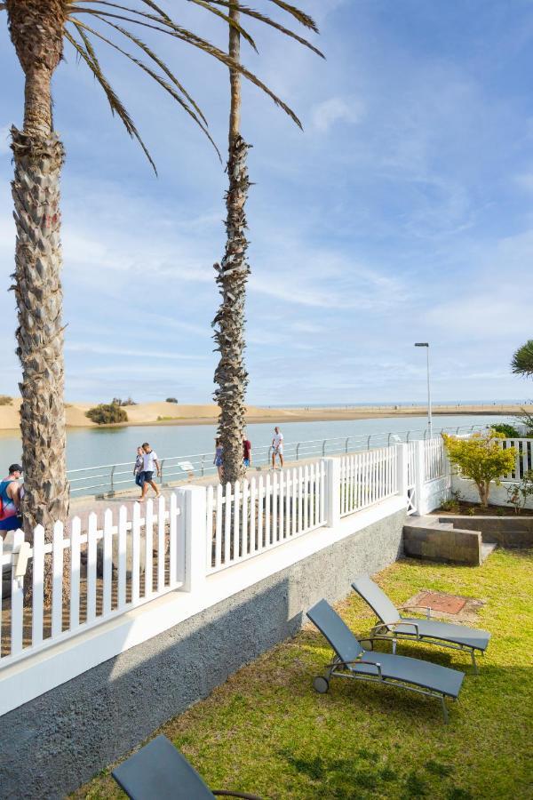 Oasis