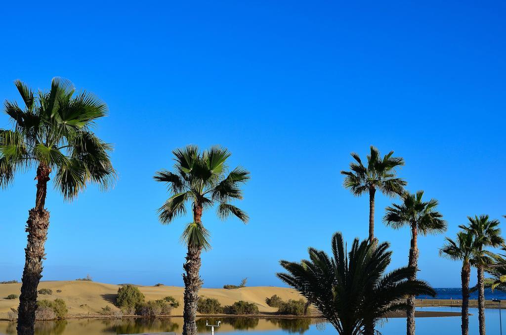 Oasis * Maspalomas (Gran Canaria)