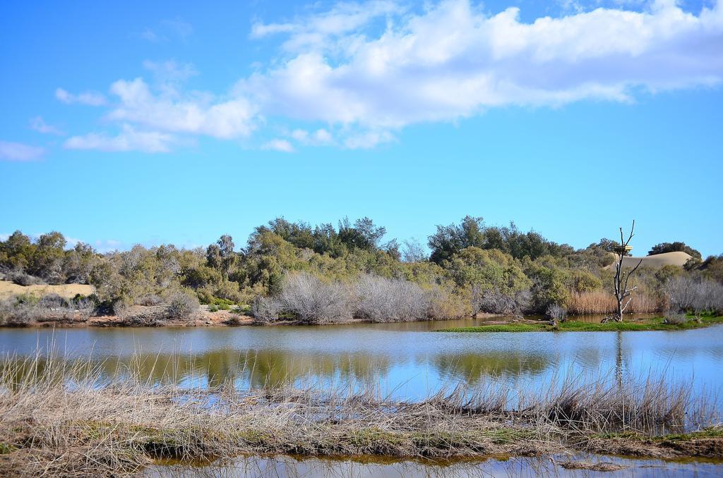 Oasis Maspalomas (Gran Canaria)