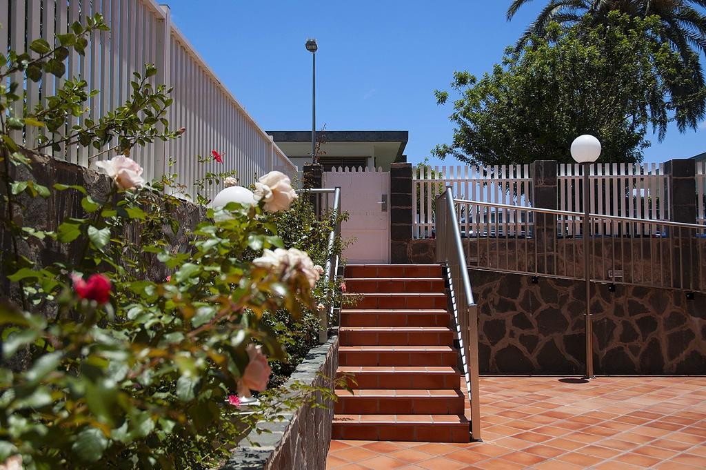 Oasis Apartment